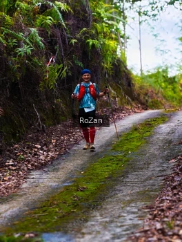 Runner Photo 2497587