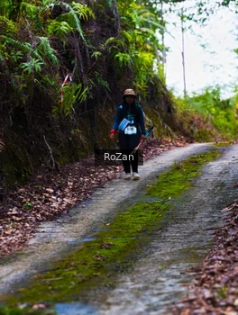 Runner Photo 2497588