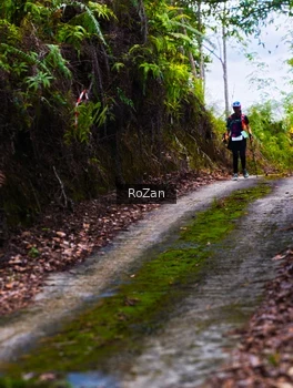 Runner Photo 2497591
