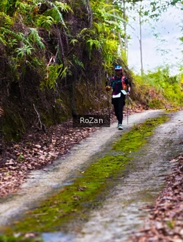 Runner Photo 2497592