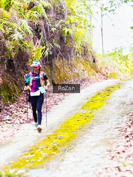 Runner Photo 2497594