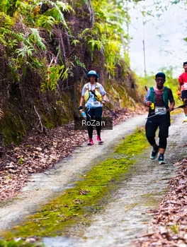 Runner Photo 2497598