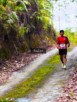 Runner Photo 2497601