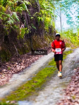 Runner Photo 2497602