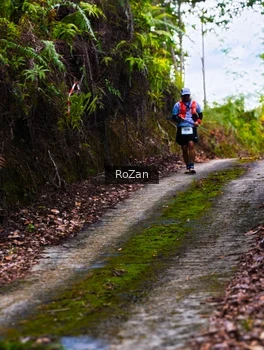 Runner Photo 2497604