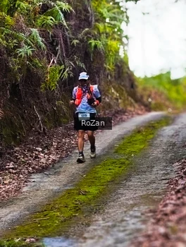 Runner Photo 2497606