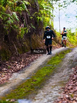 Runner Photo 2497607