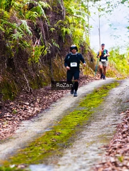 Runner Photo 2497608