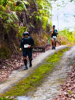 Runner Photo 2497609