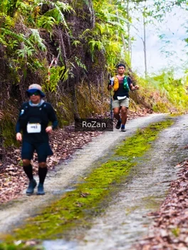 Runner Photo 2497610