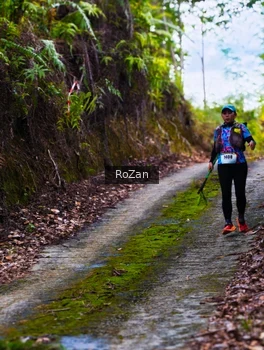 Runner Photo 2497614
