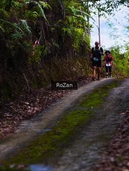 Runner Photo 2497617