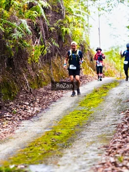 Runner Photo 2497618