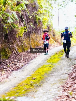 Runner Photo 2497620