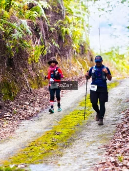 Runner Photo 2497621