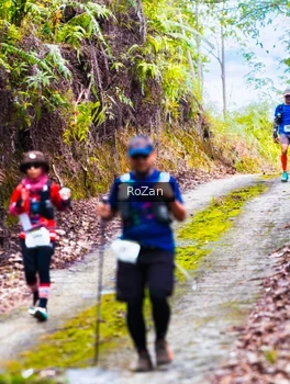 Runner Photo 2497623
