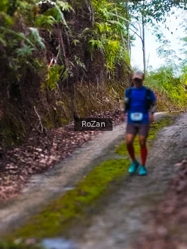 Runner Photo 2497626