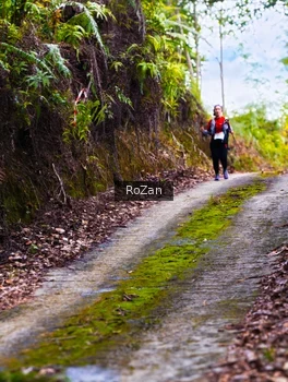 Runner Photo 2497629
