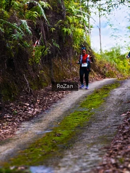 Runner Photo 2497630