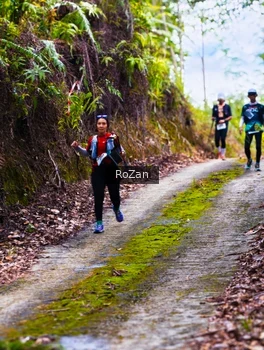 Runner Photo 2497631