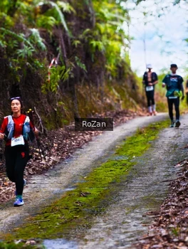 Runner Photo 2497632