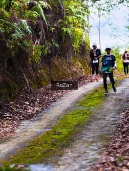 Runner Photo 2497633