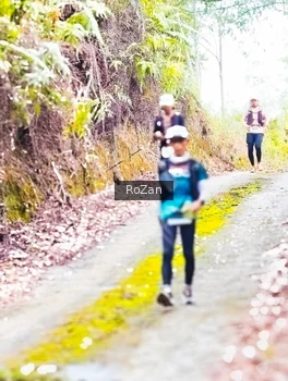 Runner Photo 2497635