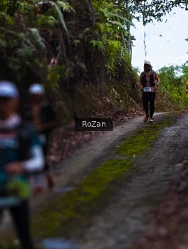 Runner Photo 2497637