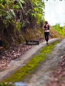 Runner Photo 2497638