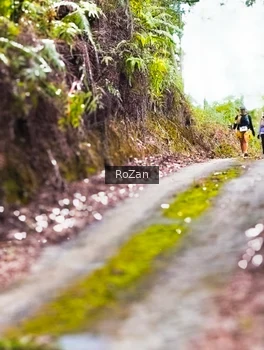 Runner Photo 2497642