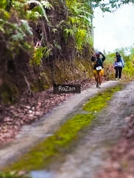 Runner Photo 2497644