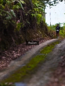 Runner Photo 2497652