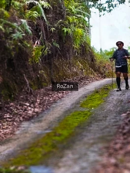 Runner Photo 2497656