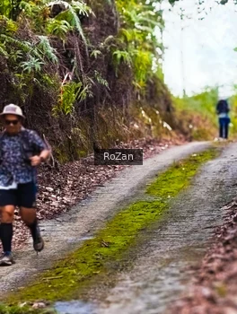 Runner Photo 2497658