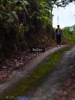Runner Photo 2497661