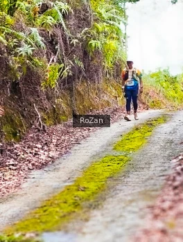 Runner Photo 2497662