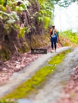 Runner Photo 2497663
