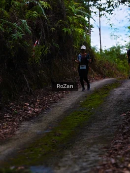 Runner Photo 2497670