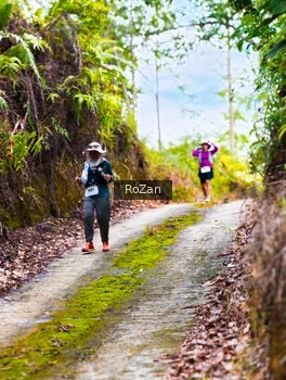 Runner Photo 2497676