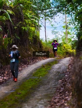 Runner Photo 2497677