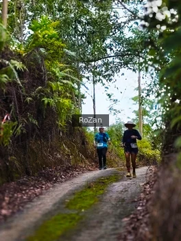 Runner Photo 2497682