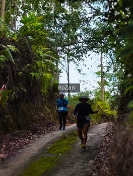 Runner Photo 2497683