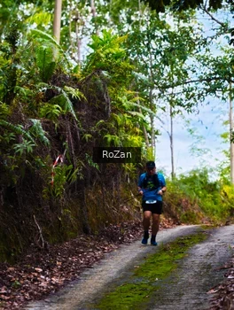 Runner Photo 2497695