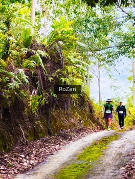 Runner Photo 2497698