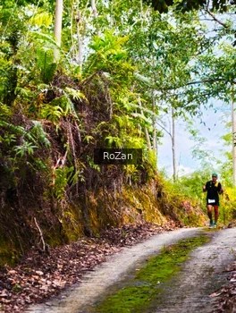 Runner Photo 2497709