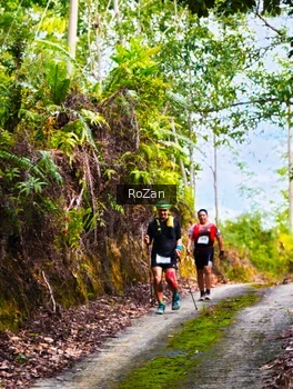 Runner Photo 2497711