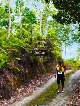 Runner Photo 2497719