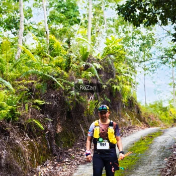 Runner Photo 2497720