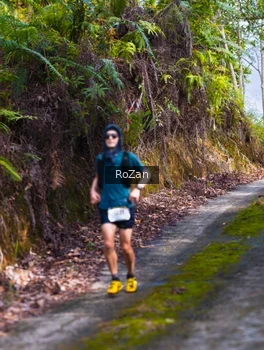 Runner Photo 2497822