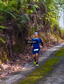 Runner Photo 2497823